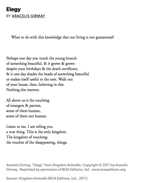 Screen Shot 2018-04-19 at 7.14.20 PM