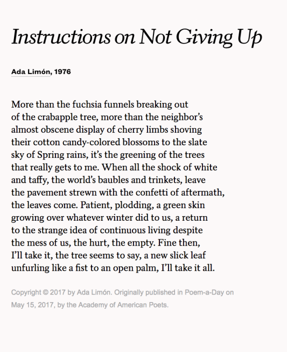 Screen Shot 2018-04-25 at 8.58.13 PM.png