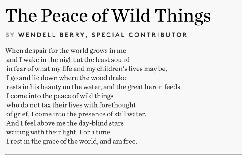 Screen Shot 2018-07-11 at 10.43.41 PM.png