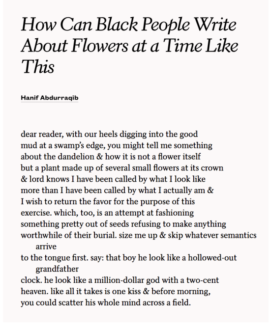 Screen Shot 2018-07-11 at 10.55.42 PM.png