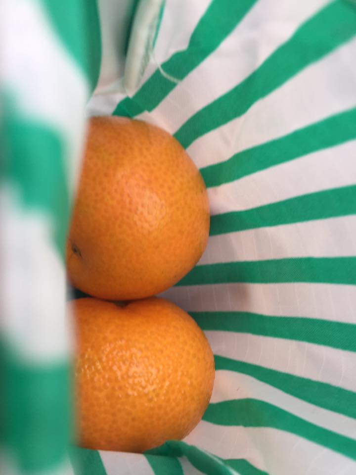 15420939_1307936715893354_171344421694360287_n