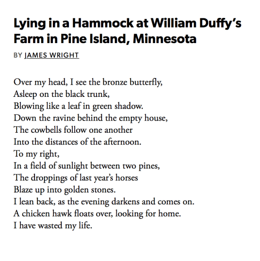 Screen Shot 2019-03-15 at 12.49.05 AM.png